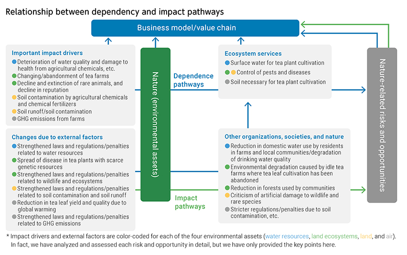 Relationship between dependency and impact pathways