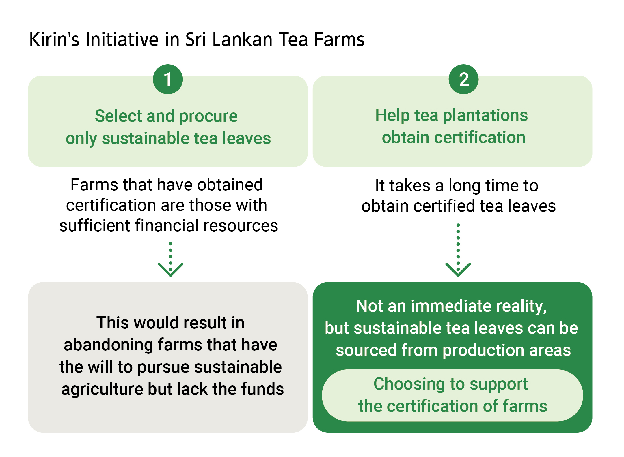 Kirin's Initiative in Sri Lankan Tea Farms.①Select and procure only sustainable tea leaves.Farms that have obtained certification are those with sufficient financial resources.This would result in abandoning farms that have the will to pursue sustainable agriculture but lack the funds.②Help tea plantations obtain certification.It takes a long time to obtain certified tea leaves.Not an immediate reality, but sustainable tea leaves can be sourced from production areas.Choosing to support the certification of farms.