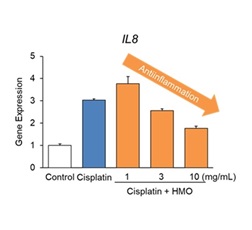 Figure 2. HMOs inhibit the effects of aging