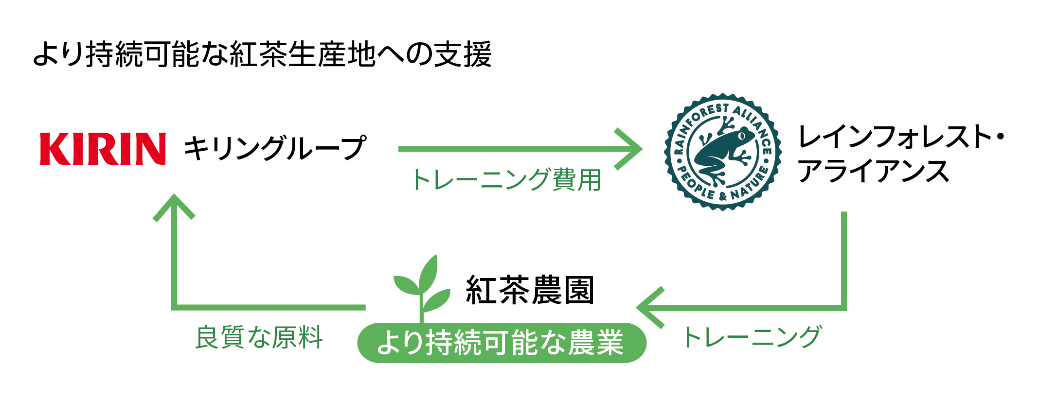 より持続可能な紅茶生産地への支援として、「レインフォレスト・アライアンス認証」を、スリランカの紅茶農園が取得するためのトレーニング費用をキリングループが提供する支援をしています。