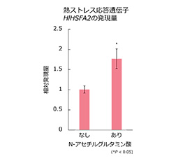 研究内容2 グラフ