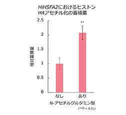 研究内容3 グラフ