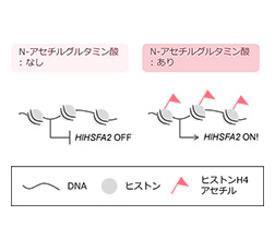 研究内容3 図