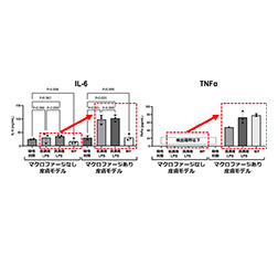 研究成果3 炎症性サイトカイン量の放出量