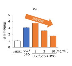 図2．HMOによる老化の影響の抑制